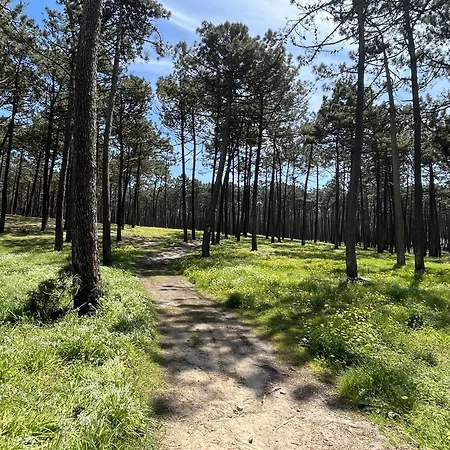 Onda House * Cortegaca (Aveiro)