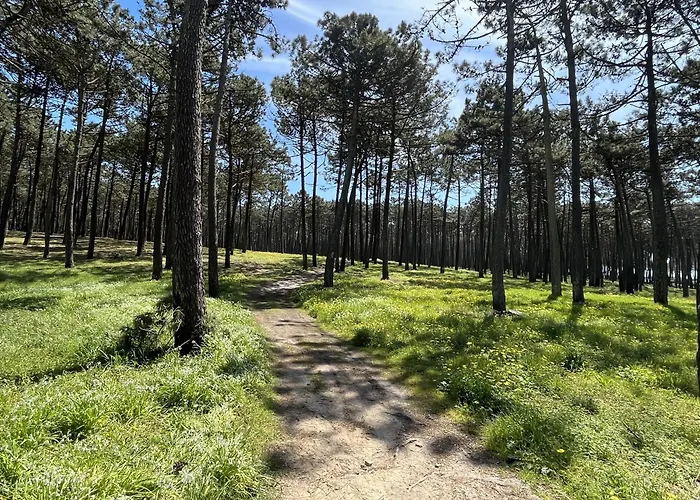 Onda House * Cortegaca (Aveiro)